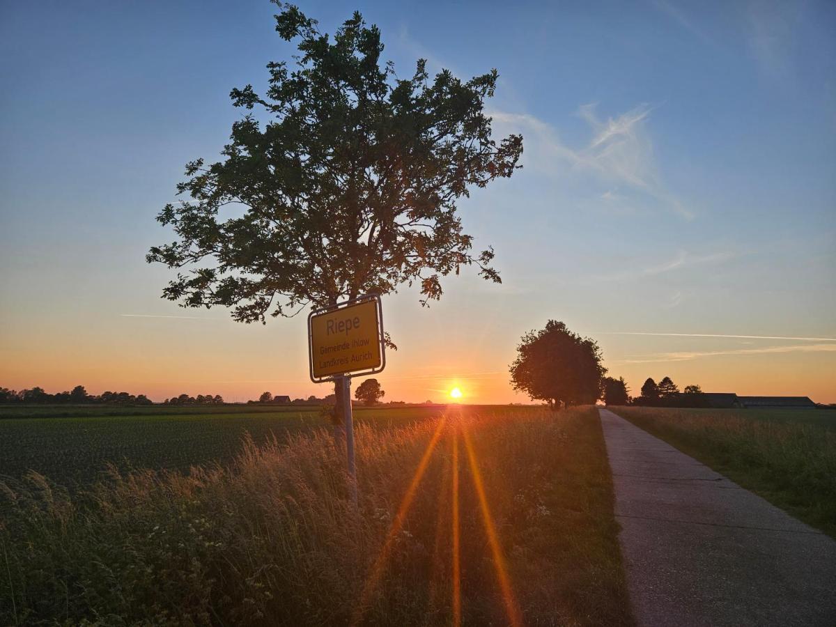 Ferienwohnung Birkenstrasse Ihlow  Exteriér fotografie